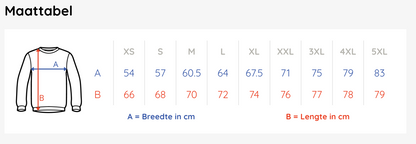 Oversized sweater met eigen DTF logo/tekening (Gender-Neutraal)